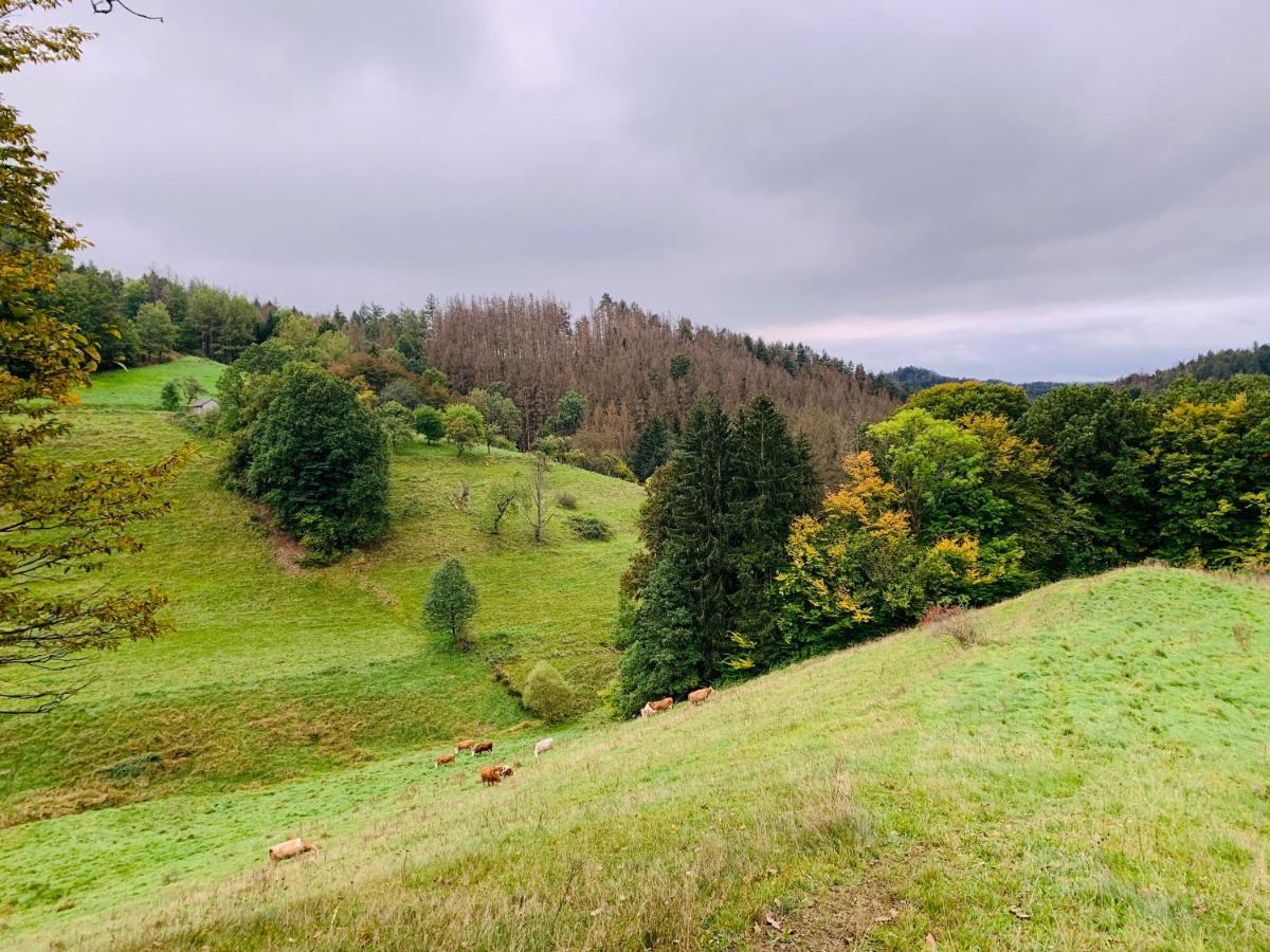 Naturhof Kluge Saupsdorf Dış mekan fotoğraf