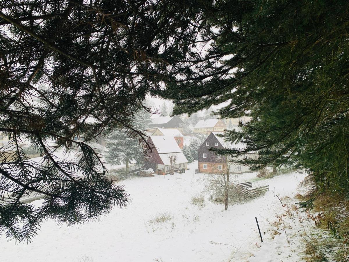 Naturhof Kluge Saupsdorf Dış mekan fotoğraf