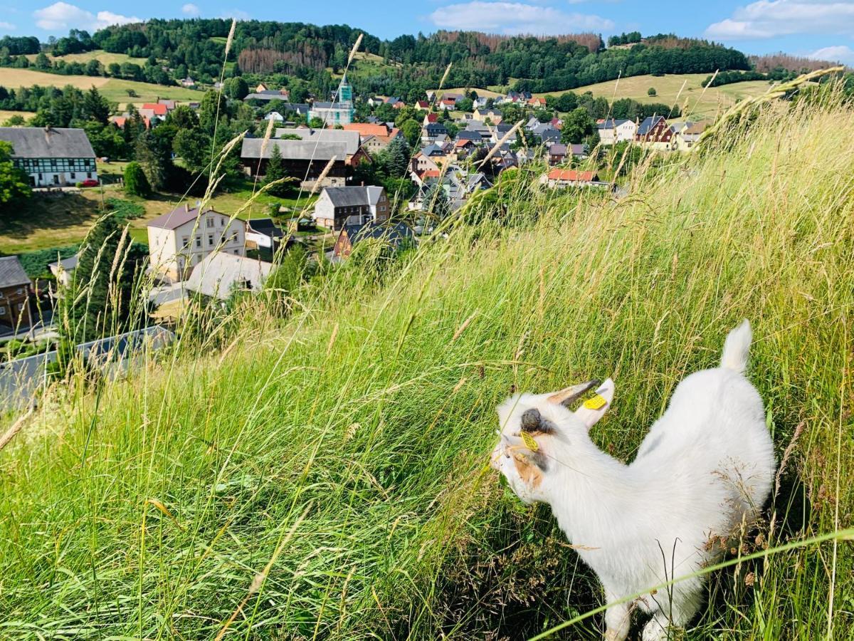 Naturhof Kluge Saupsdorf Dış mekan fotoğraf